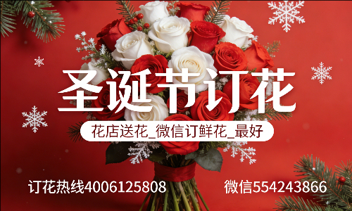 蚌埠蚌山区花店送花_微信订鲜花_圣诞节订花_最好? 蚌埠蚌山区花店