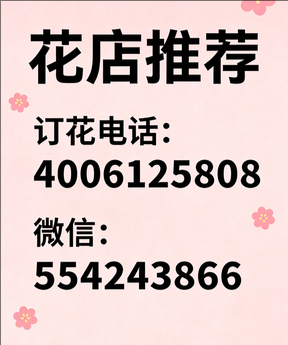 蚌埠蚌山区花店哪家好