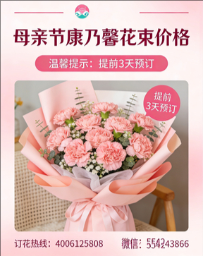 蚌埠蚌山区花店母亲节康乃馨花束