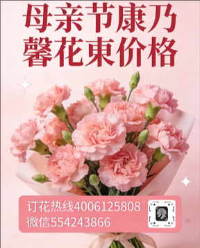 蚌埠蚌山区花店母亲节康乃馨花束